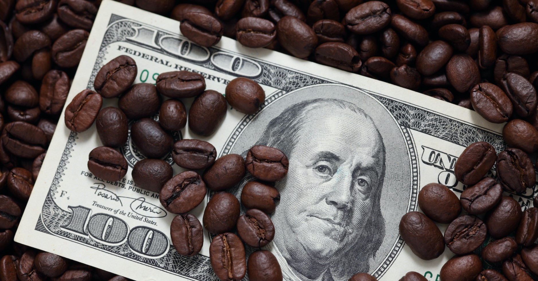 The World’s Most Expensive Coffees: Are They Worth the Price?